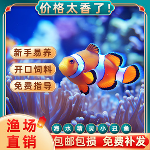 С���~��ˮ�~�^�p�~�˹�������ĪС�~�ͻ���B�W��С���~һ��һĸ