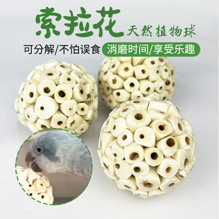 �羳���N�W�^��ʳ��������B��߻�Ƥ�˸����L�␞С�Bĥ������F