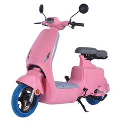 メーカー卸売外国貿易電気自動車クロスボーダー卸売二輪電動自転車軽量二人乗り小型バッテリー車