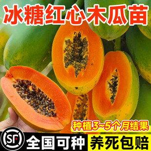 ľ�Ϲ������ˮ�����Ǽt�Ę����ϱ����Nֲ���Ԯ���Y���ļ�