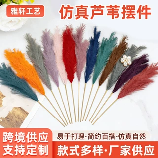 小红书烟花芦苇亚马逊ins风 18叉100cm蒲苇狗尾巴草婚礼装饰摆件