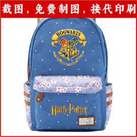 新款魔法学院学校青少年中小学生书包韩版碎花帆布女生双肩背包