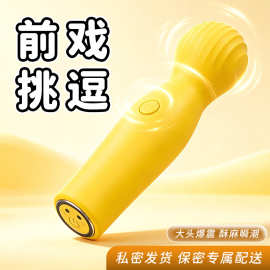 成人情趣性用品 调频震动女用振动棒自慰器充电震动棒性爱av棒