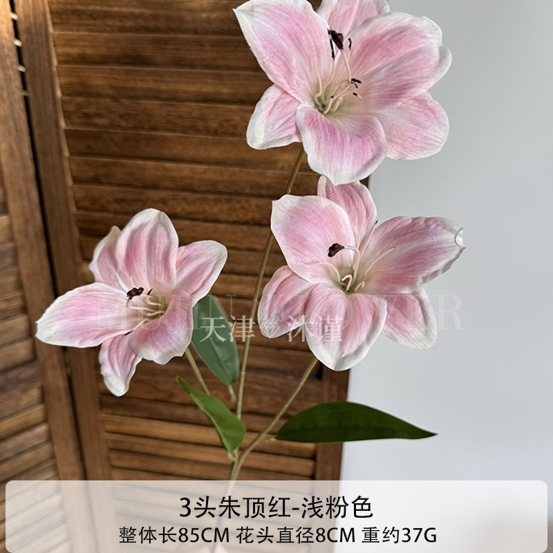붉은 머리 3개