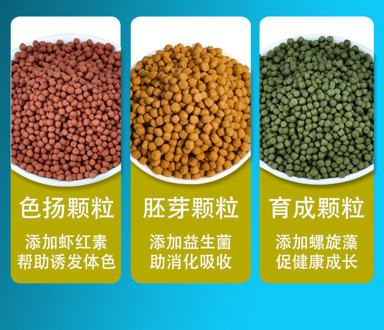 6e884724-3d0d-4cad-98a0-9969774da44d.jpe