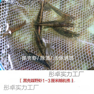 �^�p�r���l�ښ��r�׳����r��ˮ���坍�rˮ�����쾰�~�׹����r