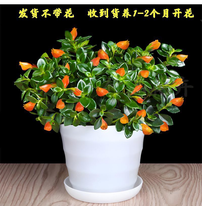 81f1de8c-aec7-4234-8f64-3a347ceadb64.jpe