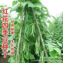 tļNӸ߮aoǷNӴܶܿNrҴ߲˷N