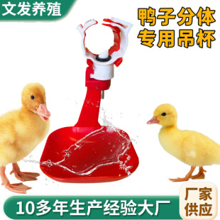 �Bֳˮ���u���÷��w�Ԅ��ˮ�������r���ˮ�������ˮ�����ӌ���