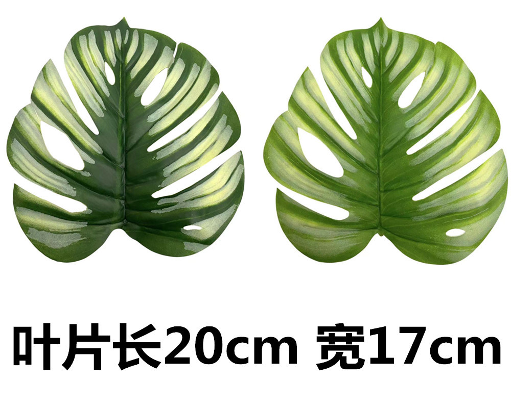 未命名_副本1