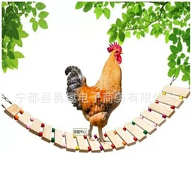 宠物周边用品;其他小宠用品;鸟类