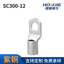 SC300-12�Q�������~�Ӿ������~�����δ�����߉�300ƽ�������S��