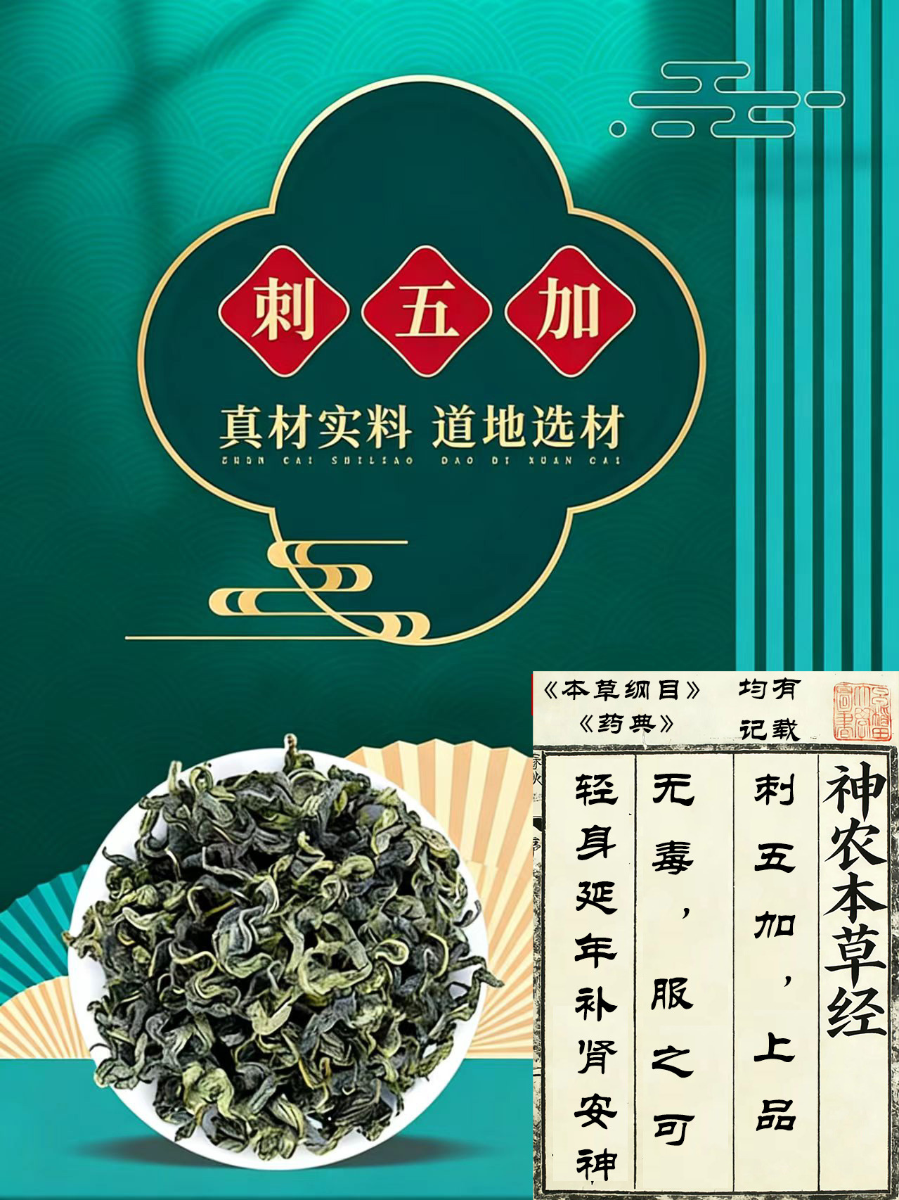 Siberian Ginseng Leaf Tea Ci Wu Jia Dried Acanthopanax Leaves 100g Bag for Daily Herbal Infusion specifications