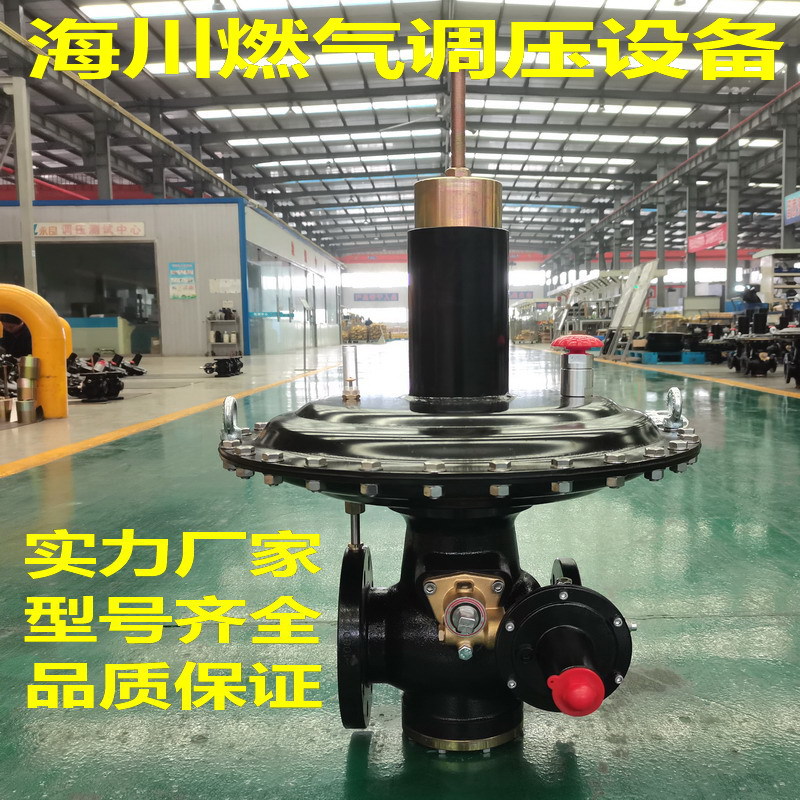 塔塔里尼MBN煤气稳压阀/RTZ-0.4/50AQ燃气锅炉减压阀/窑炉减压阀