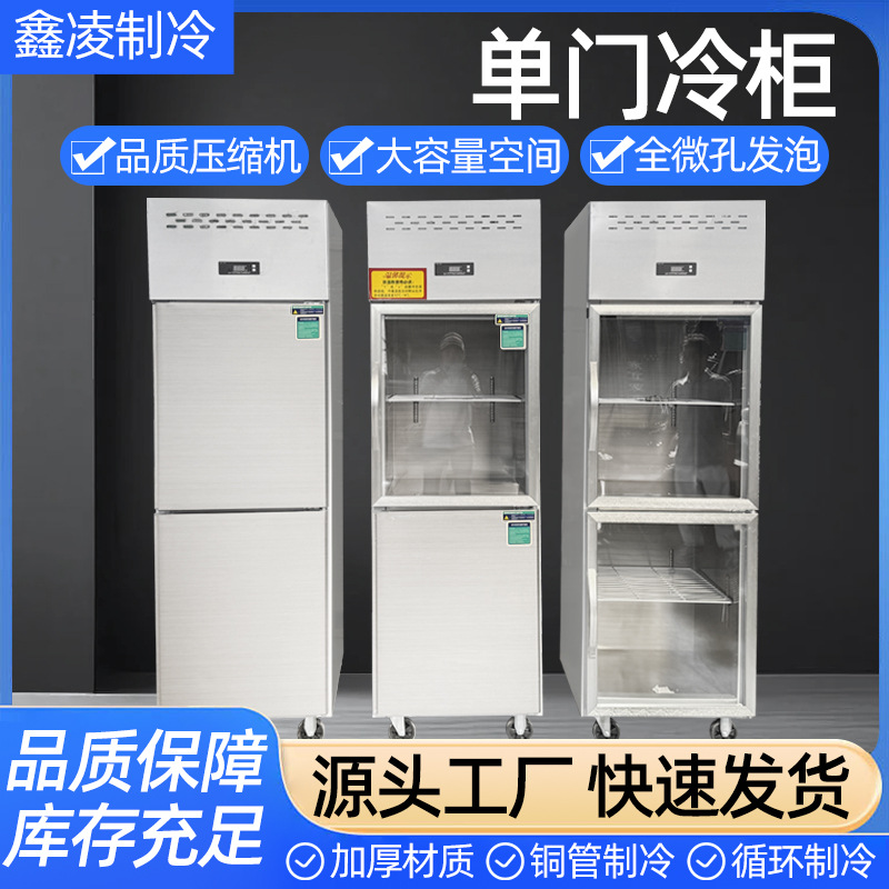 Single-Door Vertical Freezer, Large-Capacity Vegetable and Fruit Single-Door Stainless Steel Refrigerator for Kitchen, Commercial Freezer