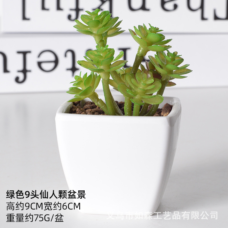 Simulación de plástico carnoso bonsai flor falsa combinación oficina interior escritorio plantas verdes pequeños adornos plantas artificiales al por mayor image 28