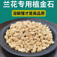 ֲ��ʯ�m��ʯ���ձ��M��ԭ�b�����w��ʯ�_Ħ���������I�B��