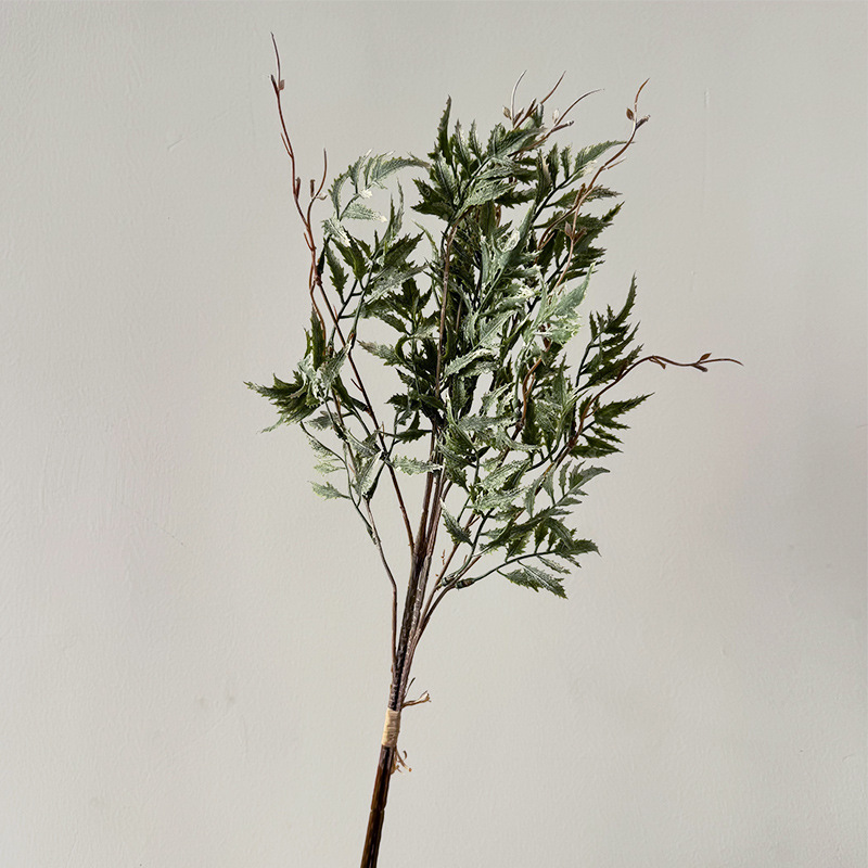 바다진사-흰색과 녹색