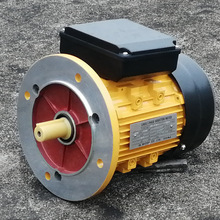 ���ҹ�ӦML�����첽 4��220V���˫ֵ�綯��B3��ͭ���ǵ��