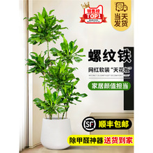 �ݼy�Fֲ������҃���ؾGֲ�͏d�W�t��������辰�ļ����B�����F