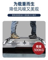 Aluminum Alloy Roof Rack Cross Bars Luggage Carrier