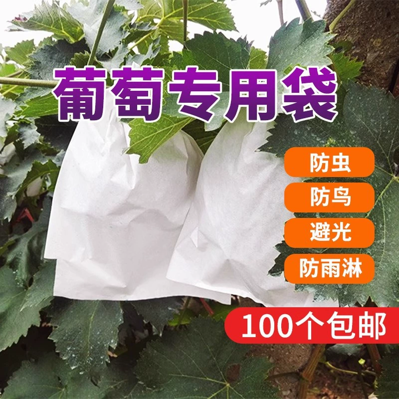 [Бесплатная доставка] Специальная сумка для упаковки винограда, сумка с защитой от насекомых и птиц, универсальная водонепроницаемая защитная сумка для винограда и дыни.