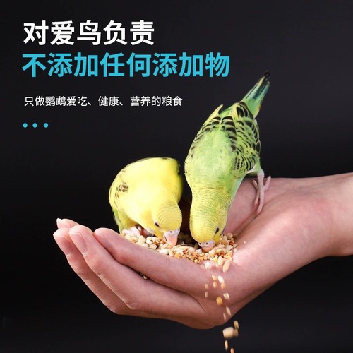 Budgie feed bird food Little Sun Peony Xuanfeng special yellow millet shelled millet mixed bird food grain