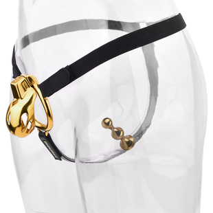 FRRK Stainless Steel Gold Plated Cobra Chastity Lock Male Imitation Escape Abstinence with Anal Plug Chastity Adult Toy