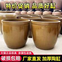 老式陶瓷水缸加厚酿酒发酵缸家用米缸腌菜缸储水缸庭院大缸睡莲缸