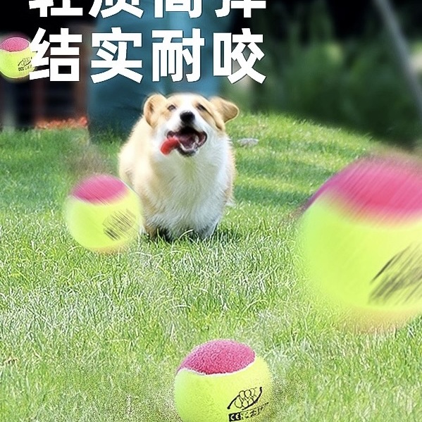 Dog Toy Ball to Relieve Boredom, Pet Border Collie Golden Retriever Corgi Pet Bite-Resistant Ball Training Molar Tennis Ball