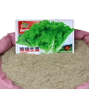 �߲˷N�����˷N�Ӱ��]��������������������Y�����˲�������