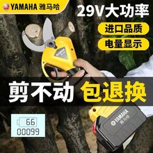 �M��늄Ӽ������ʽ�@����֦�����늼�����֦��늼���