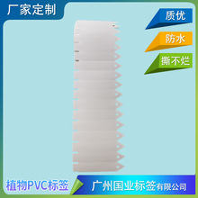 打印园艺植物名牌 植物PVC插牌 园艺花卉PP插牌 防水塑料PVC标签