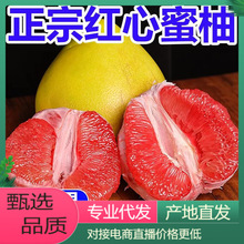 【一键铺货】红心蜜柚新鲜发货香甜微酸多汁对接电商直播产地直发