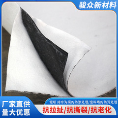 Hdpe防水複合ジオメンブレン浸透防止ジオメンブレンジオメンブレンルートダム貯水池道路浸透防止フィルム