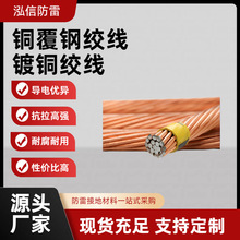 镀铜绞线铜包钢绞线防雷接地母线圆钢扁钢角钢垂直接地极裸铜绞线