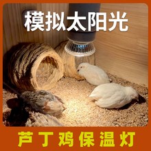 �J���u���؟��ؿ����ӟ�ȡůС�u���r�Ӝ؟����^�������Bֳ����