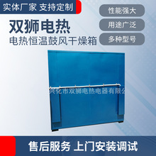 廠家供應 小型 熱風循環電熱鼓風高溫干燥箱 NJS101-9台車式烘箱