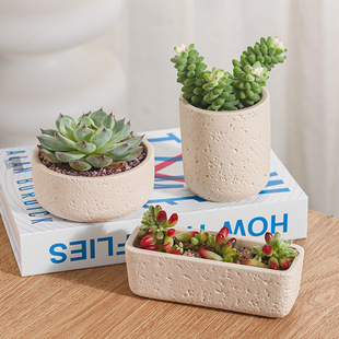 Cross-Border Hot Selling Custard Creative Stone Pattern Cement Succulent Flower Pot Office Home Desktop Green Plant Flower Pot Manufacturer Wholesale