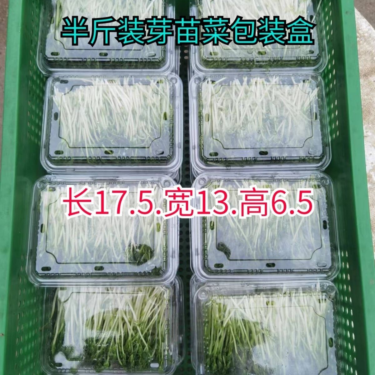 豆苗豌豆苗芽苗菜包装盒一次性塑料带盖育苗盒 半斤包装盒