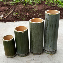 ��Ͳ������Ȼ��PͲ�廨��Ͳ���ë��������ԭ�������Ͳ��Ͳ�