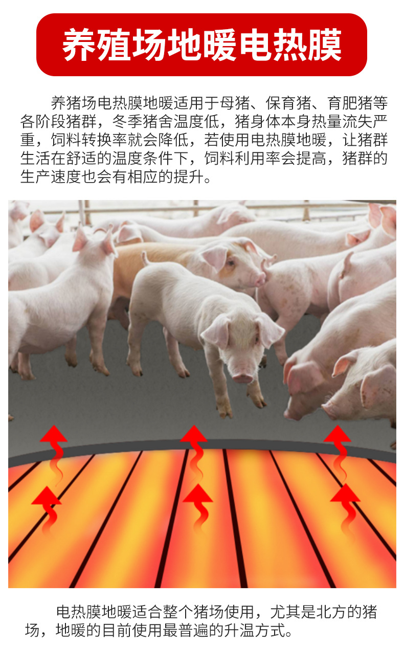 小猪版详情_05.jpg