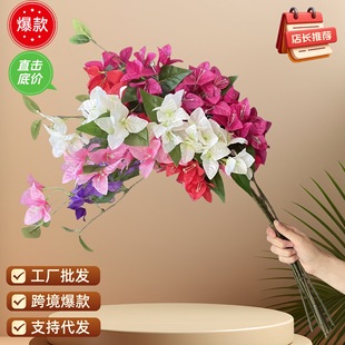 ����÷���滨����c�Y�ò��õ��߼Ҿ��b͏d����÷�������l�羳