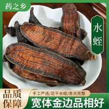 正宗野生金边水蛭正品蚂蝗无盐无矾中药材清水吊干宽免费打粉正品