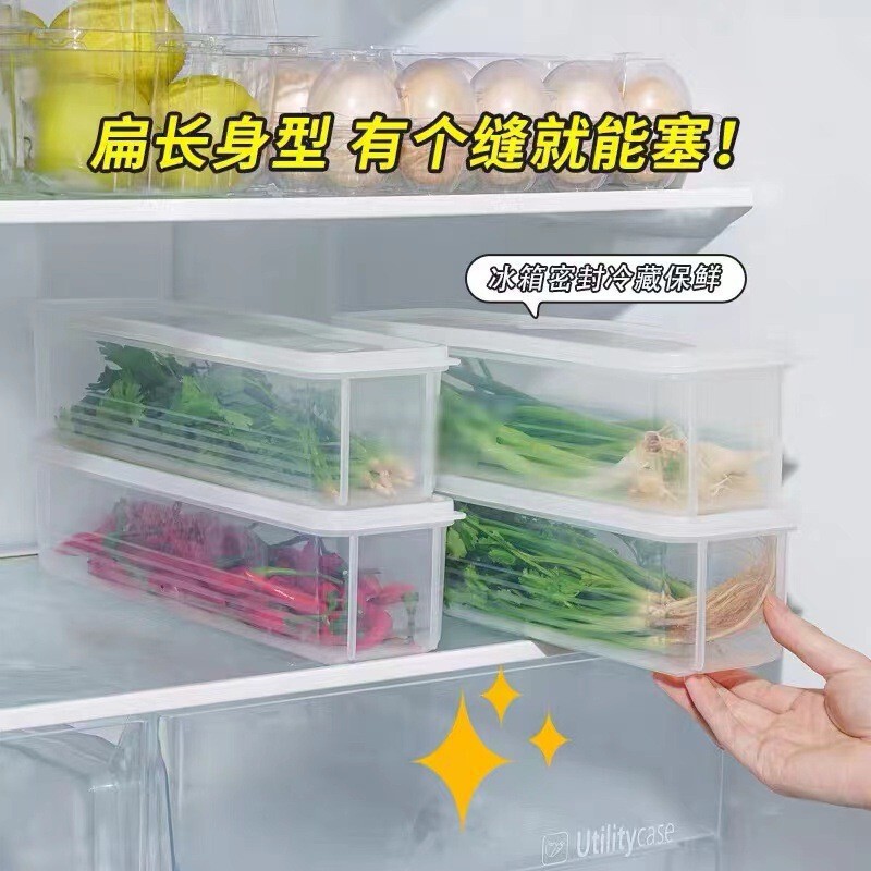 コリアンダーとネギの保存箱 冷蔵庫 コリアンダー丸ごと保存品 麺と卵の保存 密閉保存箱|undefined