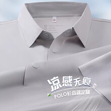 ���z�ٸ�polo��������t������ӡlogo�ļ�����o�ۛ��ЏV�������l