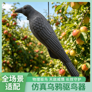 �羳���l�������Ϟ��f�f�}���b�ͥԺ�@����B����[����B����