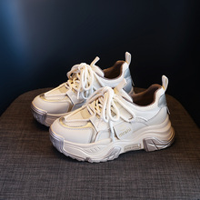 WtƽŮins2025紺¿Ƥreٴ\Ь