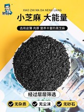 2023黑芝麻500g炒熟即食生黑芝麻五谷杂粮农家自产非特级新货孕妇