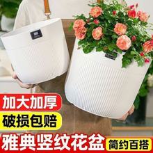 花盘塑料加厚特大号花盆处理清仓大口径加厚塑料盆天堂鸟果树蓝莓